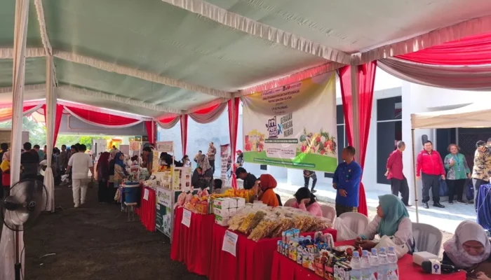 RRI Fest 2025 Resmi Dibuka di Palembang, Meriahkan HUT ke-80 RRI dengan Tema Hijau dan Berbudaya