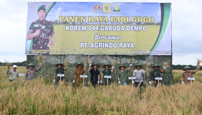Padi Gogo Menguning, Korem 044/Gapo dan Petani Perkuat Ketahanan Pangan