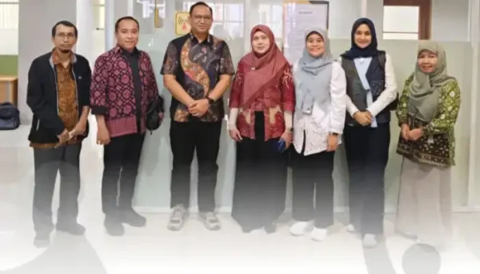 Bidang PUG dan PP Sumsel Lakukan Harmonisasi dengan KemenPPPA RI Terkait Evaluasi Mandiri PUG 2024–2025
