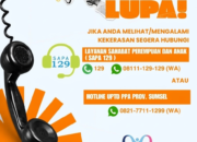 DP3A Sumsel Perkuat Edukasi Publik, Ajak Masyarakat Manfaatkan Layanan SAPA 129 untuk Hentikan Kekerasan