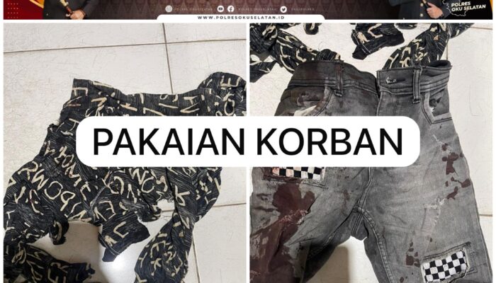 Aksi Kekerasan di Taman Muaradua, Polisi Kejar Pelaku Pembacokan