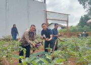 Panen Terong SAE Rutan Kelas I Palembang, Bukti Nyata Pembinaan Kemandirian Warga Binaan