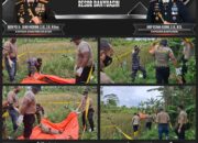 Warga Banyuasin Dikejutkan Penemuan Mayat Perempuan Membusuk di Tepi Sawah