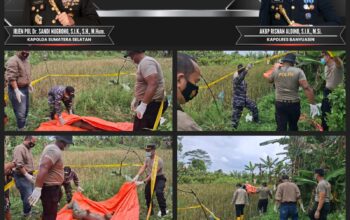 Warga Banyuasin Dikejutkan Penemuan Mayat Perempuan Membusuk di Tepi Sawah