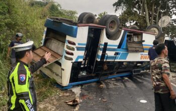 Bus Angkut 28 Penumpang Terguling di Tepian Danau Ranau OKU Selatan, Tiga Korban Luka Berat