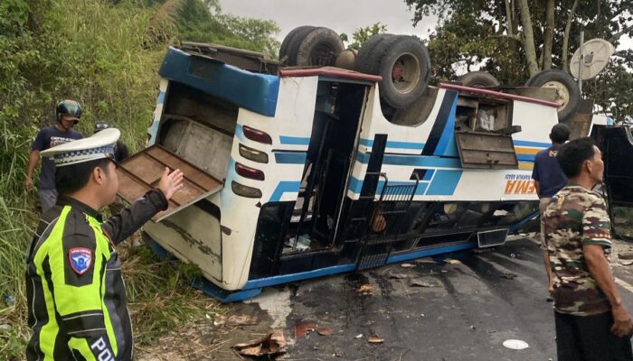 Bus Angkut 28 Penumpang Terguling di Tepian Danau Ranau OKU Selatan, Tiga Korban Luka Berat
