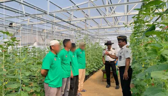 Program Pembinaan Berkelanjutan, Rutan Kelas I Palembang Lanjutkan Penanaman Melon Tahap Kedua