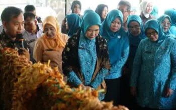 Feby Deru Blusukan ke Perajin Gambo Babat Toman, Dorong Produk Lokal Sumsel Tembus Pasar Global
