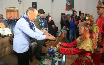 Wagub Sumsel Cik Ujang Tanam Pohon di SMAN 1 Lubuklinggau, Dorong Terwujudnya Sekolah Hijau