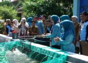 Ketua TP PKK Sumsel Feby Deru Dorong Kebun Wisata dan Desa Percontohan Saat Kunjungan ke OKI