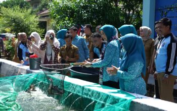 Ketua TP PKK Sumsel Feby Deru Dorong Kebun Wisata dan Desa Percontohan Saat Kunjungan ke OKI