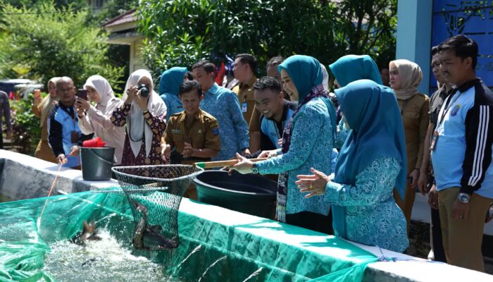 Ketua TP PKK Sumsel Feby Deru Dorong Kebun Wisata dan Desa Percontohan Saat Kunjungan ke OKI