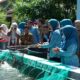 Ketua TP PKK Sumsel Feby Deru Dorong Kebun Wisata dan Desa Percontohan Saat Kunjungan ke OKI