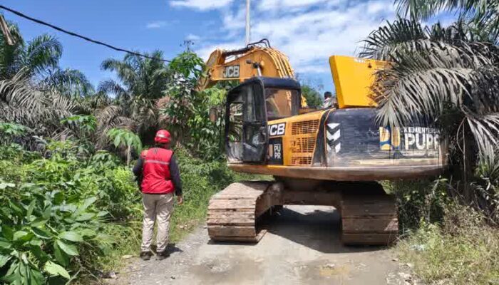 Jelang Idul Adha, PLN dan DLH Tanjab Barat Percepat Pembangunan Jaringan Listrik demi Keandalan Pasokan Masyarakat