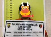 Satreskrim Polrestabes Palembang Tangkap Tersangka Curat, Amankan Motor Curian