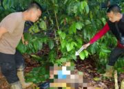 Tragedi di Perkebunan Ulu Ogan, Polres OKU Pastikan Penegakan Hukum Presisi dan Transparan