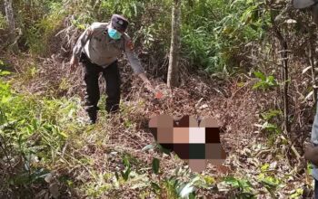 Polda Sumsel Pastikan Proses Hukum Berjalan terhadap Pelaku Pembunuhan Wanita Lansia di Muara Enim