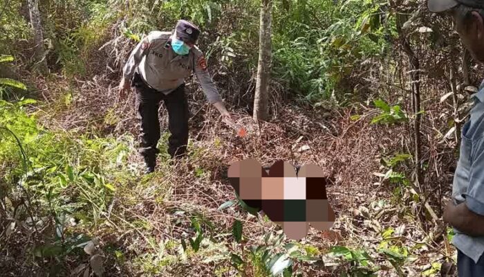 Polda Sumsel Pastikan Proses Hukum Berjalan terhadap Pelaku Pembunuhan Wanita Lansia di Muara Enim