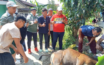 FJB Gelar Pemotongan Hewan Kurban, Perkuat Kepedulian Sosial dan Semangat Kebersamaan