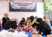 PLN Tebar Semangat Berbagi Iduladha, Salurkan Lebih dari 2.000 Hewan Kurban ke Seluruh Indonesia