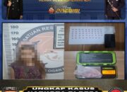 Polres OKI Bekuk Pengedar Perempuan 19 Tahun, 49 Butir Ekstasi Ditemukan di Lemari Pakaian