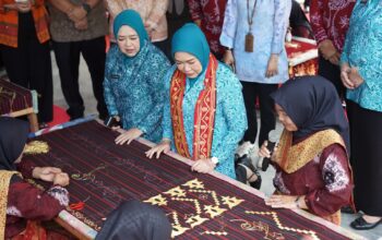 Ketua TP PKK Sumsel Feby Herman Deru Tinjau Program PKK OKU Selatan, dari Budidaya Jamur hingga Sulam Benang Emas