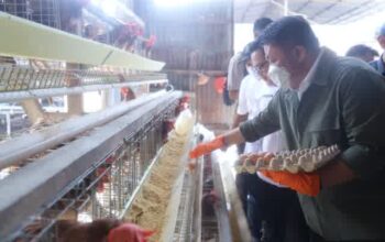 Herman Deru Perkuat Ekosistem Wirausaha Muda melalui Program Sultan Muda