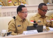 Mendagri Apresiasi Komisi II DPR RI Dukung Penguatan Wilayah Perbatasan