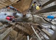 Ditpolairud Polda Sumsel Evakuasi Paus Biru Sepanjang 13 Meter yang Terdampar di Banyuasin