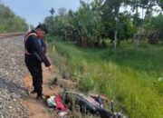 Polisi Ungkap Kronologi Kecelakaan Kereta Api Babaranjang dan Sepeda Motor di OKU Timur
