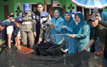Ketua TP PKK Sumsel Feby Herman Deru Dorong Pemanfaatan Lahan Irigasi untuk Tingkatkan Ekonomi Keluarga