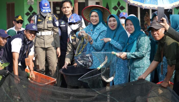 Ketua TP PKK Sumsel Feby Herman Deru Dorong Pemanfaatan Lahan Irigasi untuk Tingkatkan Ekonomi Keluarga