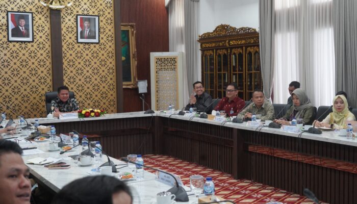 Sumsel Masuk Nominasi TPKAD Award 2026, Perkuat Akses Keuangan dan Pertahankan Prestasi Nasional