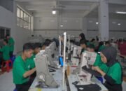 Cerita Perubahan dari Berbagai Daerah, Program TJSL PLN Hadirkan Manfaat bagi Masyarakat dan Lingkungan