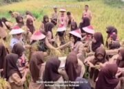 Ketahanan Pangan Dimulai dari Sekolah, SMAN 1 Pemulutan Ajak Siswa Turun ke Sawah
