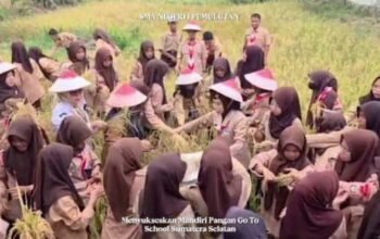Ketahanan Pangan Dimulai dari Sekolah, SMAN 1 Pemulutan Ajak Siswa Turun ke Sawah