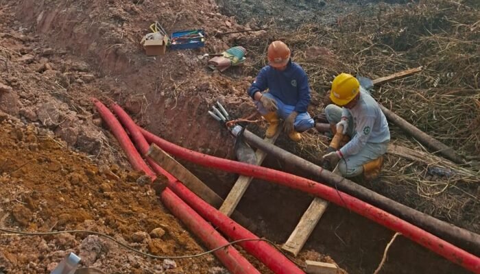 STOP Karhutla! Aksi PLN UP3 Palembang Pulihkan Infrastruktur Terdampak di Tanjung Api-Api