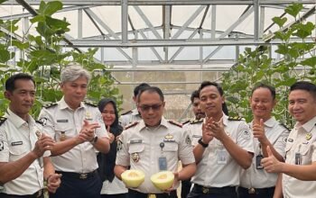Panen Melon di SAE Rutan Palembang, Wujud Pembinaan Kemandirian dan Dukungan Ketahanan Pangan