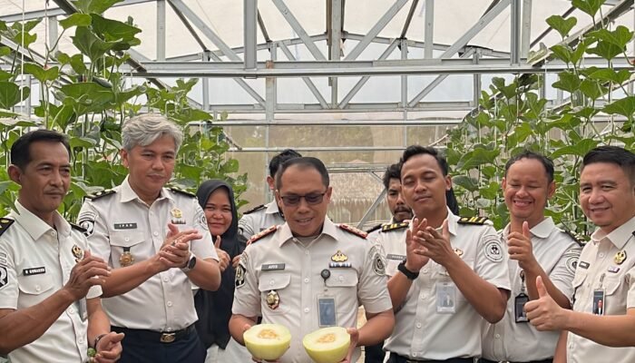 Panen Melon di SAE Rutan Palembang, Wujud Pembinaan Kemandirian dan Dukungan Ketahanan Pangan