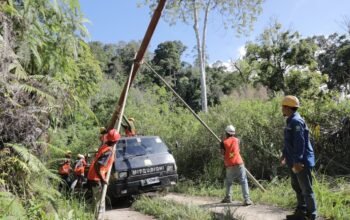 Menyala di Lembah Mandailing, Listrik 24 Jam PLN Buka Jalan Cita-Cita Anak Desa Patialo