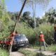 Menyala di Lembah Mandailing, Listrik 24 Jam PLN Buka Jalan Cita-Cita Anak Desa Patialo