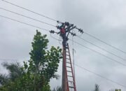 Cegah Gangguan Sejak Dini, PLN Perkuat Keandalan Jaringan Listrik di Penarik