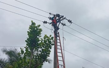 Cegah Gangguan Sejak Dini, PLN Perkuat Keandalan Jaringan Listrik di Penarik