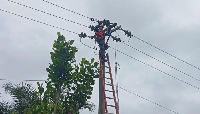 Cegah Gangguan Sejak Dini, PLN Perkuat Keandalan Jaringan Listrik di Penarik