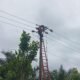 Cegah Gangguan Sejak Dini, PLN Perkuat Keandalan Jaringan Listrik di Penarik