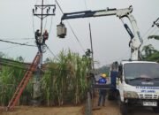 Semangat Sumpah Pemuda, PLN Hadir Tingkatkan Keandalan Listrik untuk Masyarakat Jambi melalui Rotasi Trafo
