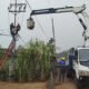 Semangat Sumpah Pemuda, PLN Hadir Tingkatkan Keandalan Listrik untuk Masyarakat Jambi melalui Rotasi Trafo